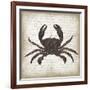 Crab I-Erin Clark-Framed Giclee Print