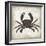 Crab I-Erin Clark-Framed Premium Giclee Print