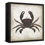 Crab I-Erin Clark-Framed Stretched Canvas