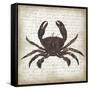 Crab I-Erin Clark-Framed Stretched Canvas