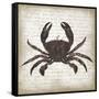 Crab I-Erin Clark-Framed Stretched Canvas