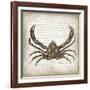 Crab II-Erin Clark-Framed Giclee Print