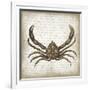 Crab II-Erin Clark-Framed Giclee Print