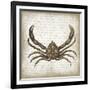 Crab II-Erin Clark-Framed Giclee Print