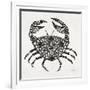 Crab in Grey-Cat Coquillette-Framed Giclee Print