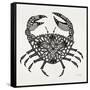 Crab in Grey-Cat Coquillette-Framed Stretched Canvas