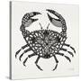 Crab in Grey-Cat Coquillette-Stretched Canvas