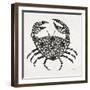 Crab in Grey-Cat Coquillette-Framed Giclee Print