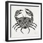 Crab in Grey-Cat Coquillette-Framed Giclee Print