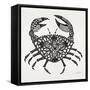 Crab in Grey-Cat Coquillette-Framed Stretched Canvas