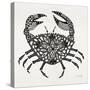 Crab in Grey-Cat Coquillette-Stretched Canvas
