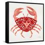 Crab in Red-Cat Coquillette-Framed Stretched Canvas