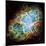Crab Nebula (M1)-null-Mounted Premium Photographic Print