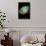 Crab Nebula Space Photo-null-Framed Poster displayed on a wall