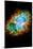 Crab Nebula Space Photo-null-Mounted Poster