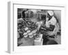 Crab Picker with Lumps and Freeze Dried Crab Meat in Cans-Ed Clark-Framed Photographic Print