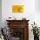 Crab Spider waiting for prey on head of Chrysanthemum, Italy-Paul Harcourt Davies-Photographic Print displayed on a wall