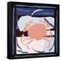 Crab-John Wallington-Framed Stretched Canvas