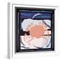 Crab-John Wallington-Framed Giclee Print