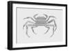 Crab-Florent Bodart-Framed Giclee Print