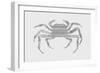 Crab-Florent Bodart-Framed Giclee Print