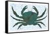 Crab-Teofilo Olivieri-Framed Stretched Canvas