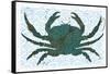 Crab-Teofilo Olivieri-Framed Stretched Canvas