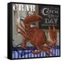 Crab-Fiona Stokes-Gilbert-Framed Stretched Canvas