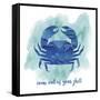 Crab-Erin Clark-Framed Stretched Canvas