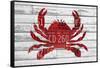 Crab-Design Turnpike-Framed Stretched Canvas