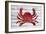 Crab-Design Turnpike-Framed Giclee Print