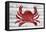 Crab-Design Turnpike-Framed Stretched Canvas