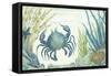 Crab-Sasha-Framed Stretched Canvas