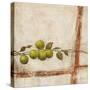 Crabapple I-Carol Black-Stretched Canvas