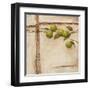 Crabapple II-Carol Black-Framed Art Print