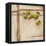 Crabapple II-Carol Black-Framed Stretched Canvas