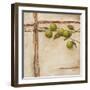 Crabapple II-Carol Black-Framed Art Print