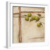 Crabapple II-Carol Black-Framed Art Print