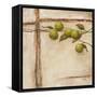 Crabapple II-Carol Black-Framed Stretched Canvas