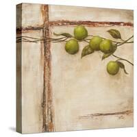 Crabapple II-Carol Black-Stretched Canvas