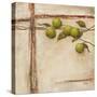 Crabapple II-Carol Black-Stretched Canvas