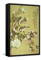 Crabapple, Magnolia and Baitou Birds-Ma Yuanyu-Framed Stretched Canvas