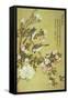 Crabapple, Magnolia and Baitou Birds-Ma Yuanyu-Framed Stretched Canvas