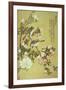 Crabapple, Magnolia and Baitou Birds-Ma Yuanyu-Framed Giclee Print