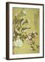 Crabapple, Magnolia and Baitou Birds-Ma Yuanyu-Framed Giclee Print