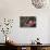 Crabapple Tree Blossoms-Savanah Stewart-Photographic Print displayed on a wall