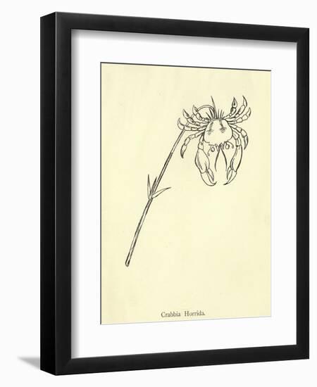 Crabbia Horrida-Edward Lear-Framed Giclee Print