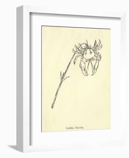Crabbia Horrida-Edward Lear-Framed Giclee Print