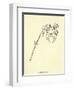 Crabbia Horrida-Edward Lear-Framed Giclee Print