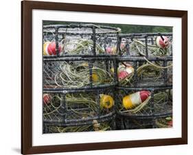 Crabbing Nets in Tee Harbor, Juneau, Southeast Alaska, Alaska, USA-Walter Bibikow-Framed Photographic Print